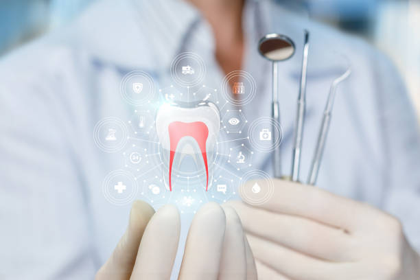 Reliable Naples, FL  Holistic Dental Services Solutions